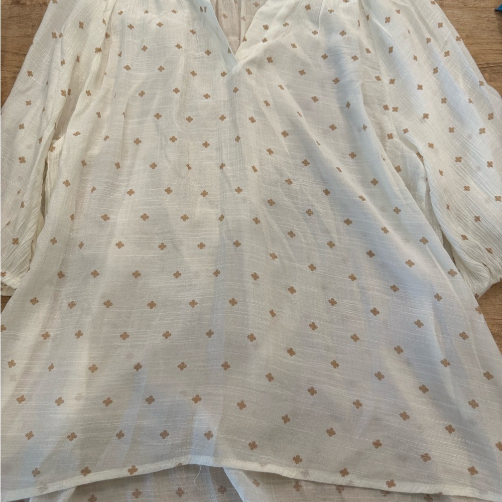 Chic Cream and Tan Women's Blouse